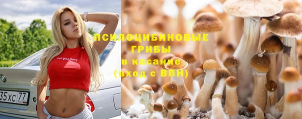 альфа пвп VHQ Белокуриха